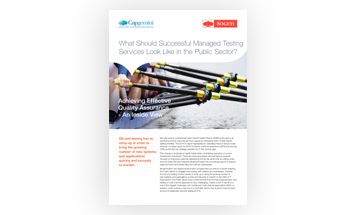 Successful Managed testing Services Point of View